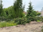 Петербуржцы выбрали новый облик своего города