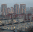 Стало известно, как петербуржцы относятся к ипотеке и арендованному жилью - Петербургский дневник
