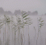 Уголовное дело возбудили после гибели 16-летнего подростка на карьере в Ленобласти - Комсомольская правда
