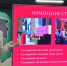 Марина Линович. - Культура Петербурга