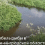 Экологи провели проверку состояния рек Войтоловки и Иголинки в Тосненском районе - Spbdnevnik.ru