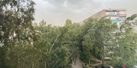 Грозы и сильный ветер накроют Петербург в воскресенье - Санкт-Петербург.ру
