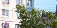 МЧС предупреждает петербуржцев о новом ухудшении погоды - ГАZЕТА.СПб