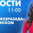 Новости Петербурга к 11:00 - tvspb.ru - ТК Санкт-Петербург