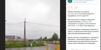 Жители Выборгского района пожаловались на фейковую борьбу с борщевиком - Neva.Today