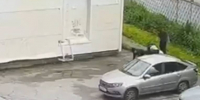 Малолетний мигрант и его друзья напали на петербургского подростка: азербайджанец подставил всю семью - Neva.Today