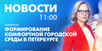 Новости Петербурга к 11:00 - tvspb.ru - ТК Санкт-Петербург