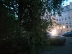 Отключение света, упавшие знаки и закрытие дамбы — в Петербурге бушует шторм