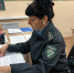 Управление Россельхознадзора за 6 месяцев 2025 года выявило почти 7 тыс. партий семян сельскохозяйственных культур, сорта которых не допущены к использованию - Россельхознадзор