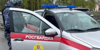 Сотрудники Росгвардии задержали мужчину, устроившего драку в хостеле на проспекте Уткина - tvspb.ru - ТК Санкт-Петербург