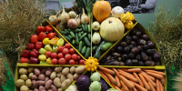 В центре Петербурга десятки продуктовых магазинов закрылись с начала года - Spbdnevnik.ru