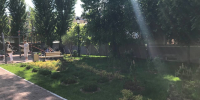 В Петербурге благоустройство сквера на улице Некрасова завершилось раньше срока - Петербургский дневник