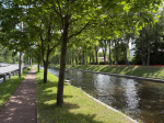 Комфорт в шаговой доступности: комитет по благоустройству использует современные тенденции для парков и скверов в Петербурге