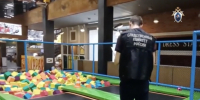 Сотрудник нарушил правила: из-за перелома позвонков у девочки в GorillaPark на Долгоозeрной завели уголовное дело - Neva.Today