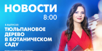 Новости Петербурга к 8:00 - tvspb.ru - ТК Санкт-Петербург