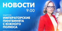 Новости Петербурга к 9:00 - tvspb.ru - ТК Санкт-Петербург