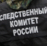 В Санкт-Петербурге следователями устанавливаются обстоятельства инцидента с малолетним - Следственный комитет