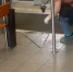 В Петербурге в отношении атаковавшего стрелами двух женщин работника завода возбудили дело о покушении - Neva.Today