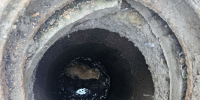 Операция «Спасение хвостатого»: бригада Водоканала помогла коту на Петроградской набережной - Водоканал Санкт-Петербурга