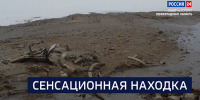 Вести 24 - ГТРК Санкт-Петербург