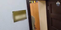 Иностранец попытался дать взятку полицейскому в Петербурге, но был задержан  - ГАZЕТА.СПб