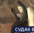Вести 24 - ГТРК Санкт-Петербург
