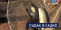 Вести 24 - ГТРК Санкт-Петербург