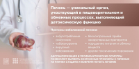 Вирусный гепатит - Стоматологическая поликлиника №9