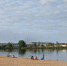 На территории Петербурга нашли один пригодный для купания пляж - Neva.Today