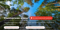 Идеи для прогулок в Ленобласти - Fiesta.Ru