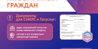 Прекращение приема иностранных граждан в некоторых отделениях МФЦ Санкт‑Петербурга - Комитет по межнациональным отношениям и реализации миграционной политики