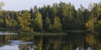 На Верхнем Суздальском озере спасатели достали из воды тонущего - Spbdnevnik.ru