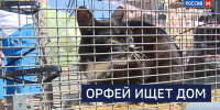 Вести 24 - ГТРК Санкт-Петербург