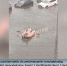 Ливень затопил южные районы Петербурга - ГТРК Санкт-Петербург