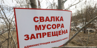 С начала года в Петербурге ликвидировали 67 несанкционированных свалок - Spbdnevnik.ru