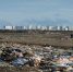 Крупные нелегальные свалки ликвидировали в Северной столице - Peterburg-News.Ru