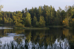 Названы основные причины загрязнения водоемов в Петербурге