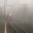 В Петербурге ожидается густой туман - tvspb.ru - ТК Санкт-Петербург