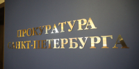 Женщина напала с ножом на трехлетнего сына в Петербурге - Spbdnevnik.ru