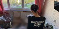 Фото: следственный комитет Петербурга - Мой район