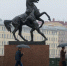Петербуржцев предупредили о ливнях и шквальном ветре в воскресенье - ГАZЕТА.СПб