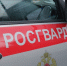 Наряд Росгвардии задержал граждан, нанесших побои работнику магазина в Ленинградской области - Росгвардия
