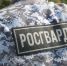 В Выборгском районе росгвардейцы задержали хулиганов, применивших газовый баллончик и нанесших побои двум прохожим - Росгвардия