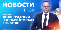 Новости Петербурга к 11:00 - tvspb.ru - ТК Санкт-Петербург