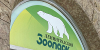 Лензоопарку одобрили концепцию развития в день его 160-летия - Neva.Today