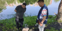 В Петербурге составили 23 протокола на рейдах по мангалам - Петербургский дневник