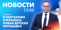 Новости Петербурга к 13:00 - tvspb.ru - ТК Санкт-Петербург