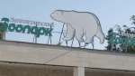Ленинградский зоопарк готовится к обновлению