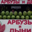 На проспекте Культуры выявили незаконную торговлю дынями и арбузам - Калининский район