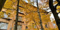 Осень придет в Петербург на две недели раньше: синоптики изменили прогноз погоды на конец августа - Neva.Today